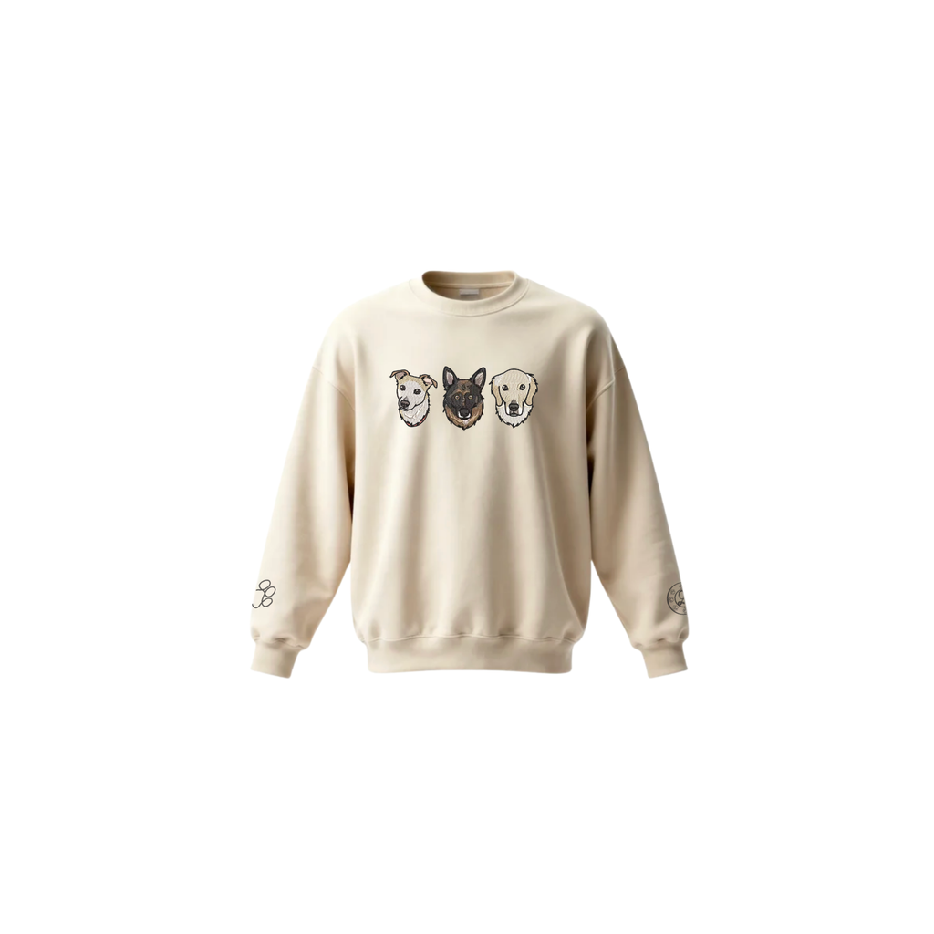 The Three Centralize Sweater