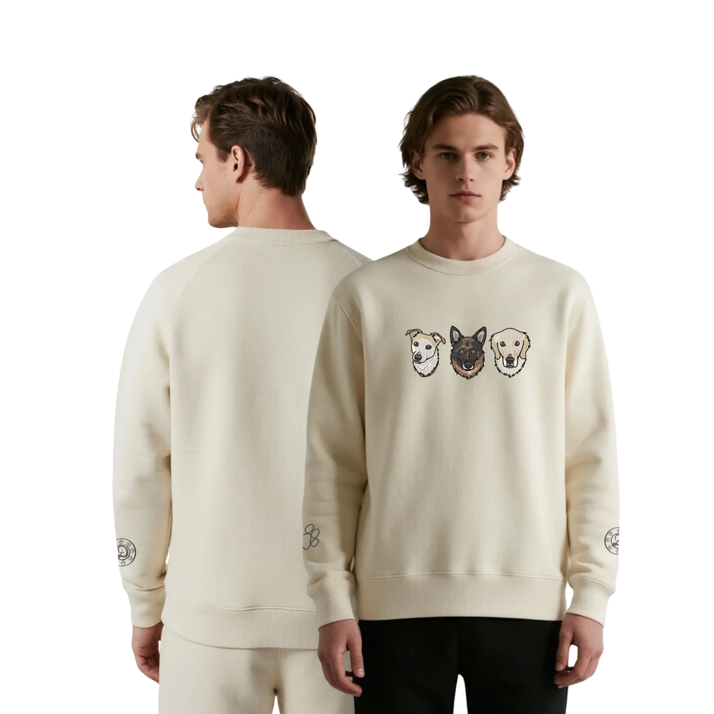 The Three Centralize Sweater