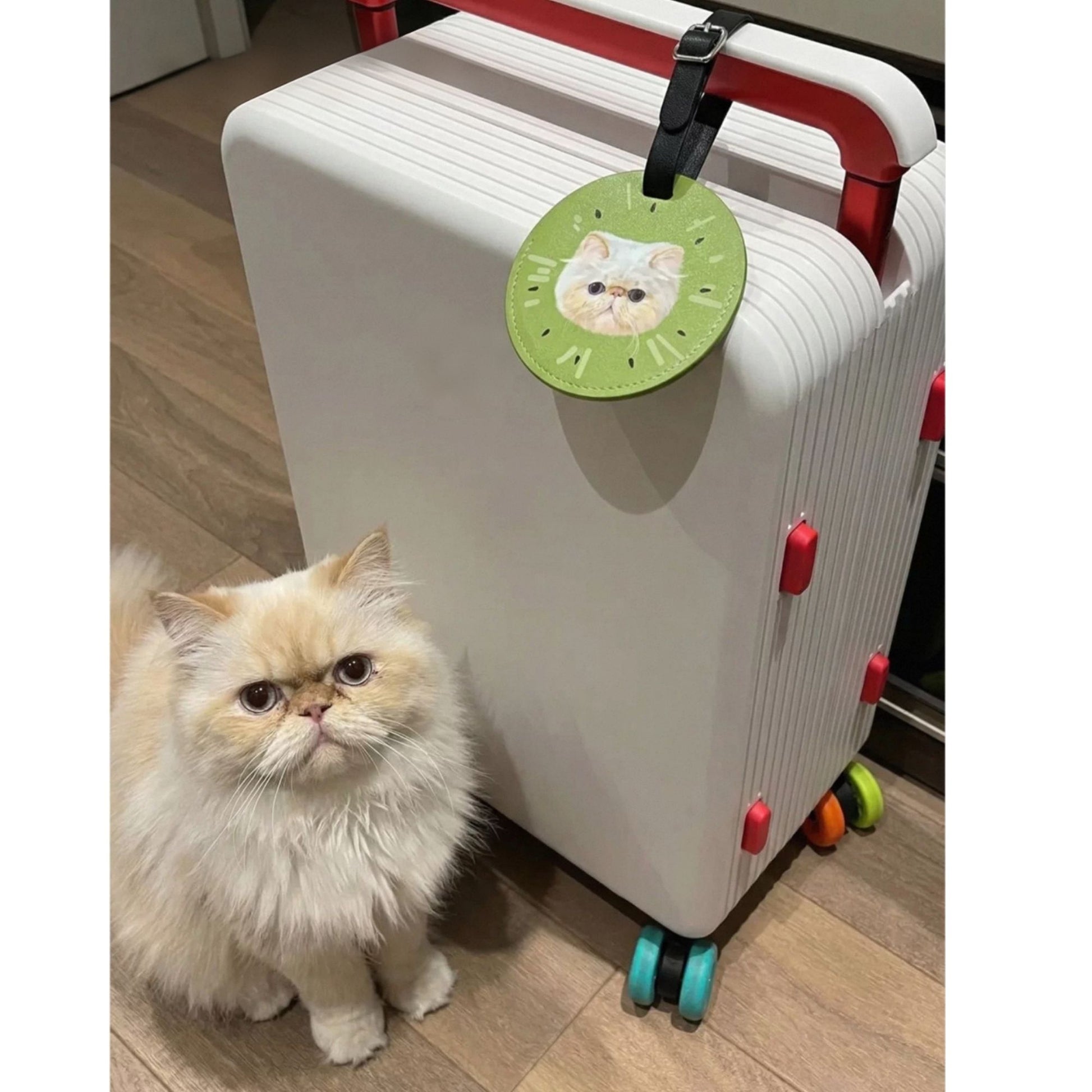 Custom Pet Luggage Tags