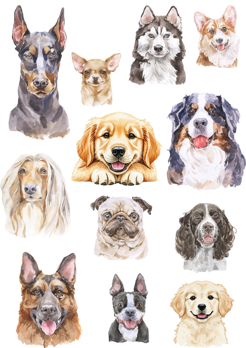 Heat Press Printing T-Shirt