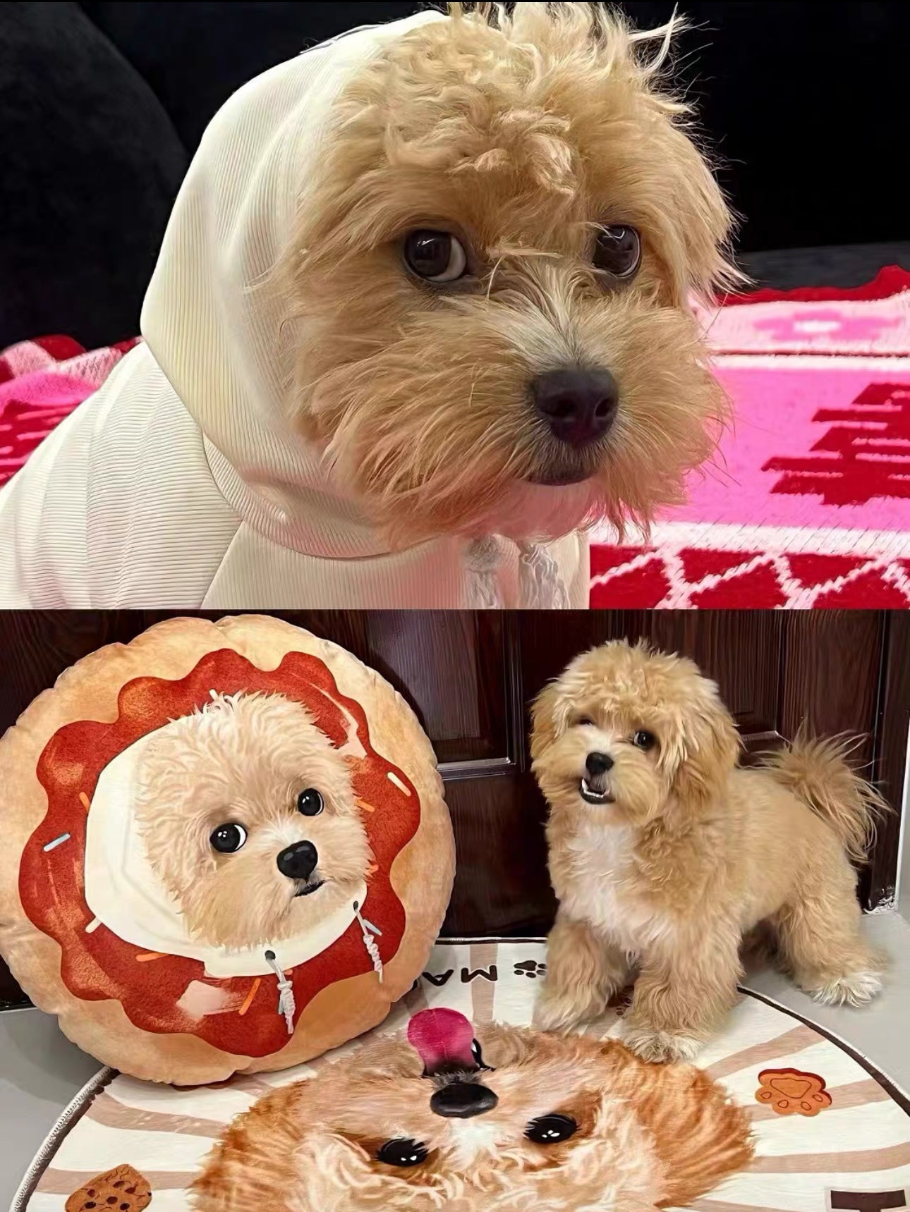 Pet Portrait Cushion