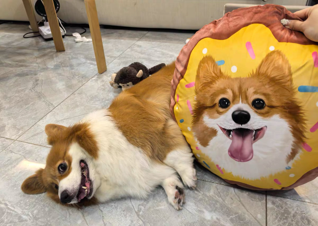 Pet Portrait Cushion