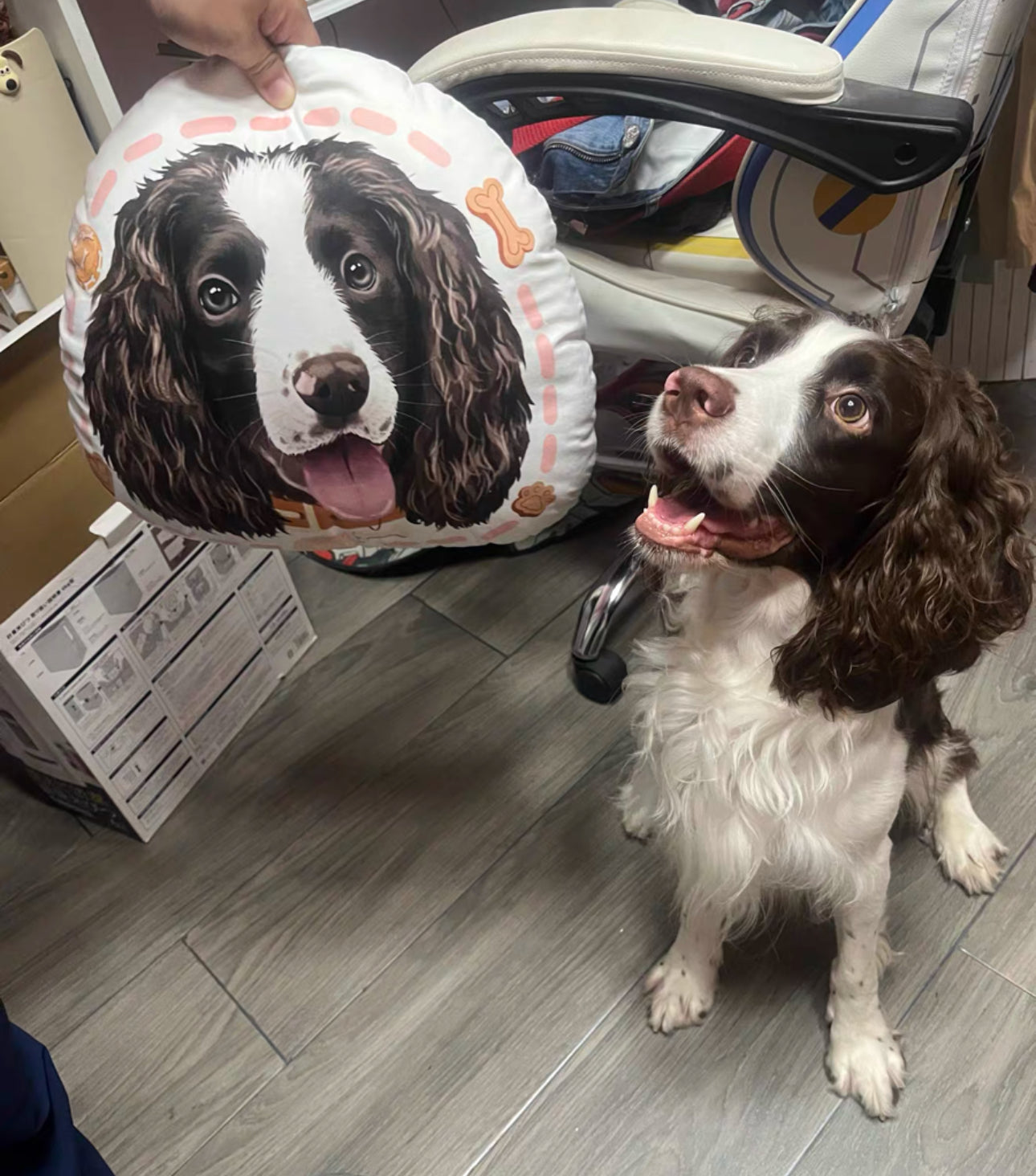 Pet Portrait Cushion