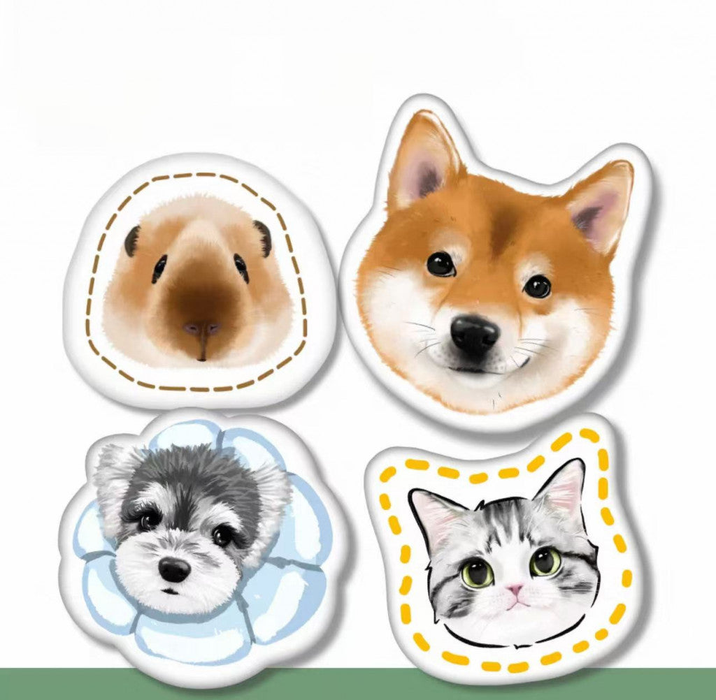 Pet Portrait Cushion